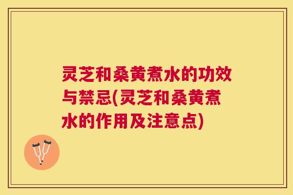 灵芝和桑黄煮水的功效与禁忌(灵芝和桑黄煮水的作用及注意点)