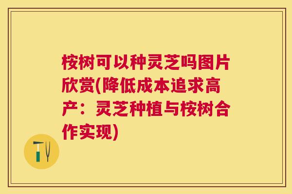桉树可以种灵芝吗图片欣赏(降低成本追求高产：灵芝种植与桉树合作实现)