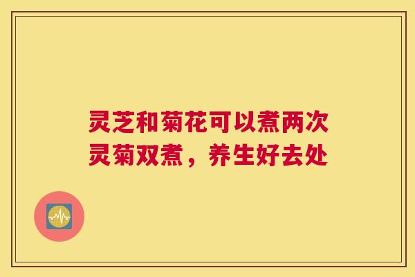 灵芝和菊花可以煮两次灵菊双煮，养生好去处