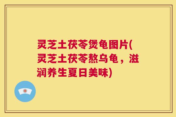 灵芝土茯苓煲龟图片(灵芝土茯苓熬乌龟，滋润养生夏日美味)
