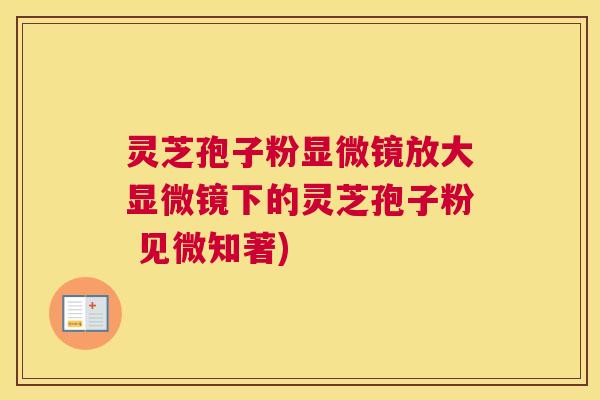 灵芝孢子粉显微镜放大显微镜下的灵芝孢子粉 见微知著)