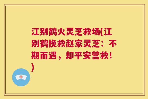 江别鹤火灵芝救场(江别鹤挽救赵家灵芝：不期而遇，却平安营救！)