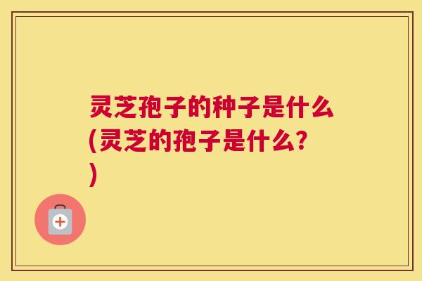 灵芝孢子的种子是什么(灵芝的孢子是什么？)