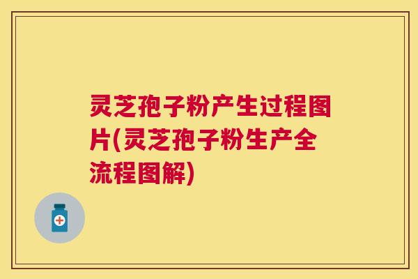 灵芝孢子粉产生过程图片(灵芝孢子粉生产全流程图解)
