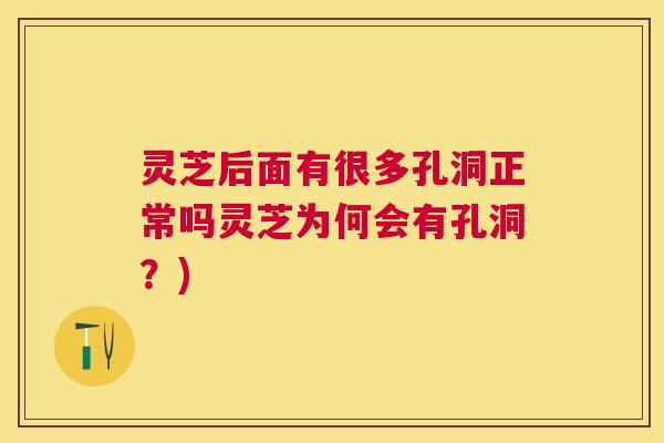 灵芝后面有很多孔洞正常吗灵芝为何会有孔洞？)