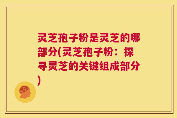 灵芝孢子粉是灵芝的哪部分(灵芝孢子粉：探寻灵芝的关键组成部分)