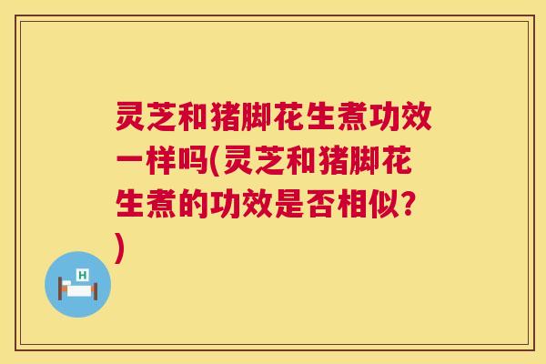 灵芝和猪脚花生煮功效一样吗(灵芝和猪脚花生煮的功效是否相似？)