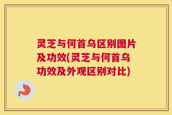 灵芝与何首乌区别图片及功效(灵芝与何首乌功效及外观区别对比)