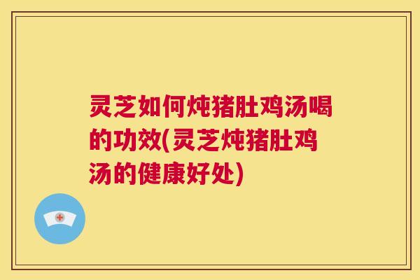 灵芝如何炖猪肚鸡汤喝的功效(灵芝炖猪肚鸡汤的健康好处)