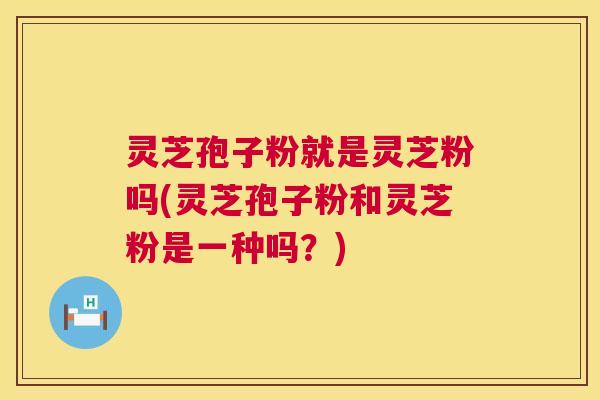 灵芝孢子粉就是灵芝粉吗(灵芝孢子粉和灵芝粉是一种吗？)