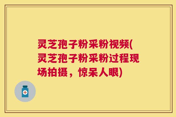 灵芝孢子粉采粉视频(灵芝孢子粉采粉过程现场拍摄,惊呆人眼) 灵芝孢子粉采粉视频(灵芝孢子粉采粉过程现场拍摄,惊呆人眼)