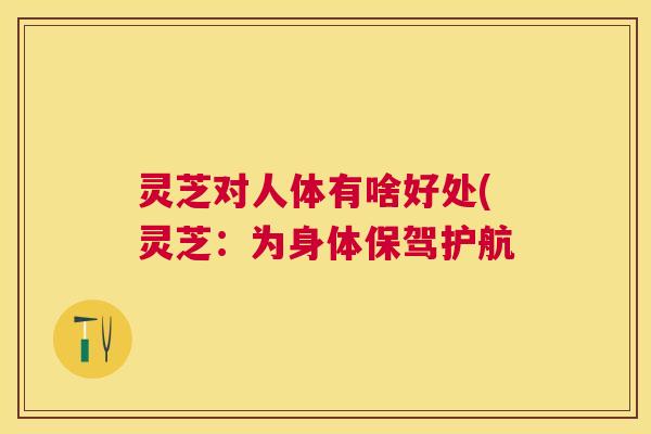 灵芝对人体有啥好处(灵芝：为身体保驾护航