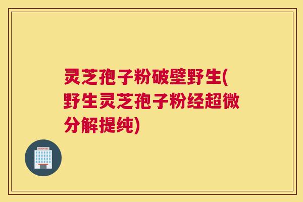 灵芝孢子粉破壁野生(野生灵芝孢子粉经超微分解提纯)