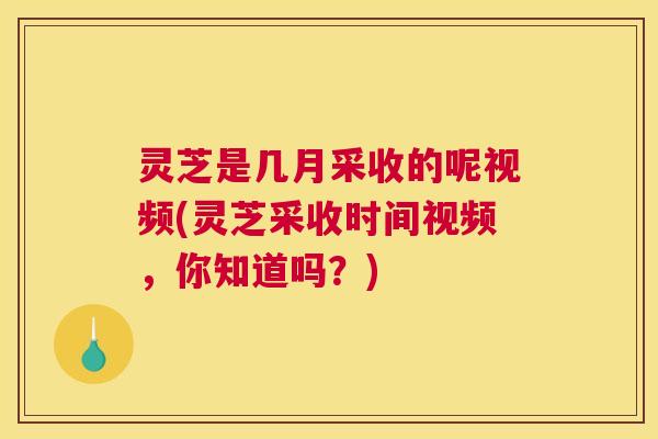 灵芝是几月采收的呢视频(灵芝采收时间视频,你知道吗?) 灵芝是几月采收的呢视频(灵芝采收时间视频,你知道吗?)