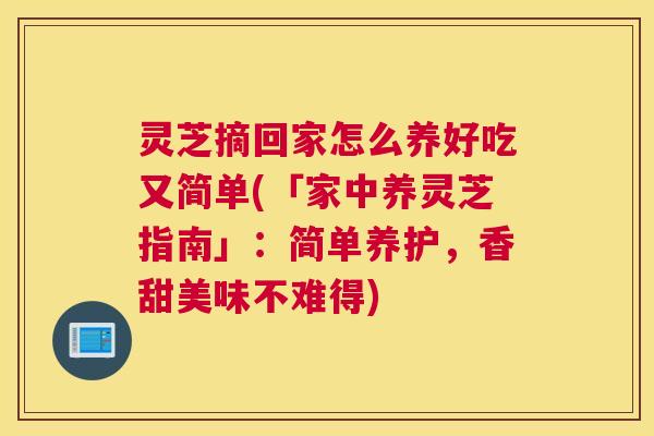 灵芝摘回家怎么养好吃又简单(「家中养灵芝指南」：简单养护，香甜美味不难得)