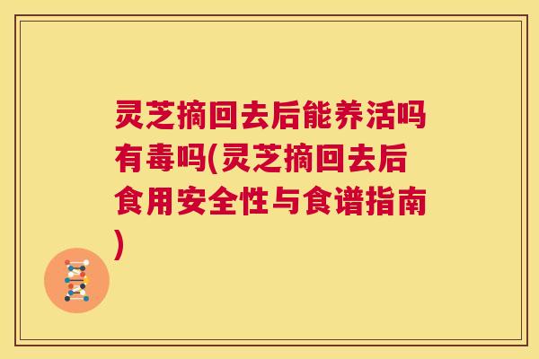 灵芝摘回去后能养活吗有毒吗(灵芝摘回去后食用安全性与食谱指南) 灵芝摘回去后能养活吗有毒吗(灵芝摘回去后食用安全性与食谱指南)