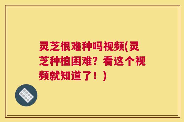 灵芝很难种吗视频(灵芝种植困难？看这个视频就知道了！)