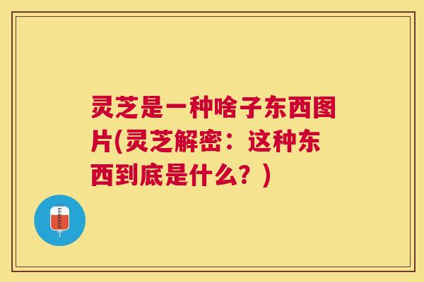 灵芝是一种啥子东西图片(灵芝解密：这种东西到底是什么？)