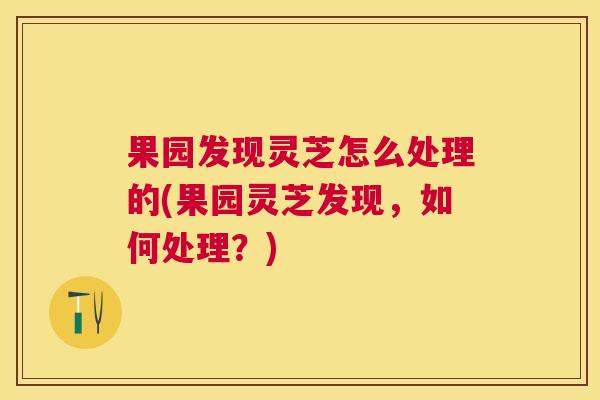 果园发现灵芝怎么处理的(果园灵芝发现,如何处理?) 果园发现灵芝怎么处理的(果园灵芝发现,如何处理?)