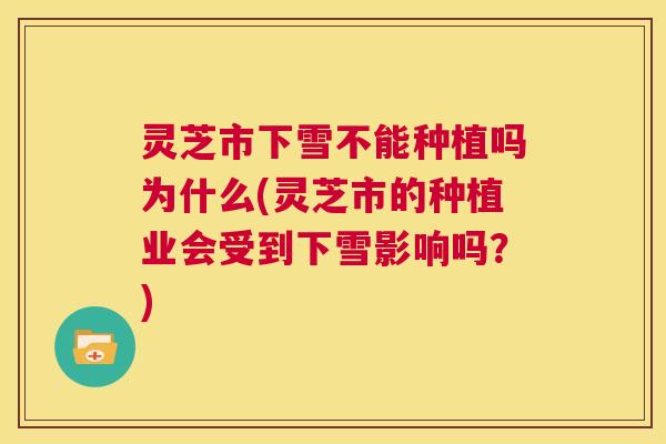 灵芝市下雪不能种植吗为什么(灵芝市的种植业会受到下雪影响吗？)