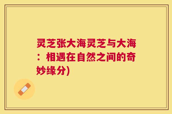 灵芝张大海灵芝与大海：相遇在自然之间的奇妙缘分)