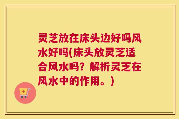 灵芝放在床头边好吗风水好吗(床头放灵芝适合风水吗？解析灵芝在风水中的作用。)