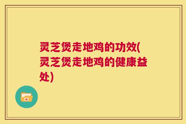 灵芝煲走地鸡的功效(灵芝煲走地鸡的健康益处)
