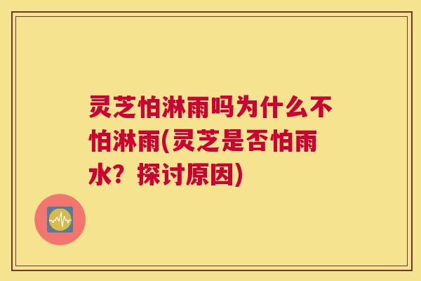 灵芝怕淋雨吗为什么不怕淋雨(灵芝是否怕雨水？探讨原因)