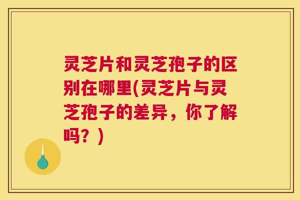 灵芝片和灵芝孢子的区别在哪里(灵芝片与灵芝孢子的差异，你了解吗？)