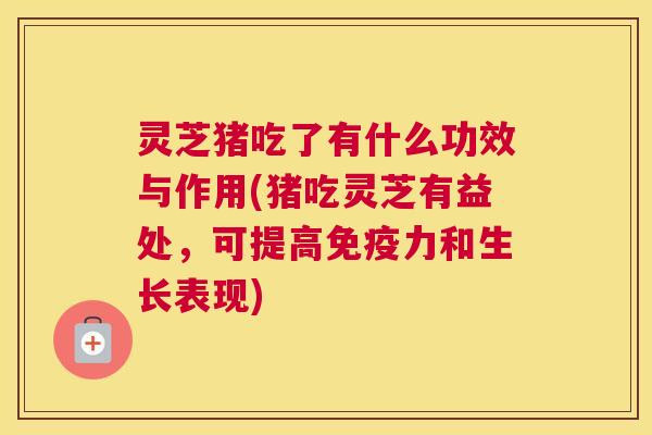 灵芝猪吃了有什么功效与作用(猪吃灵芝有益处，可提高免疫力和生长表现)