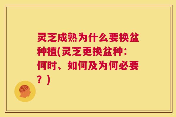 灵芝成熟为什么要换盆种植(灵芝更换盆种：何时、如何及为何必要？)