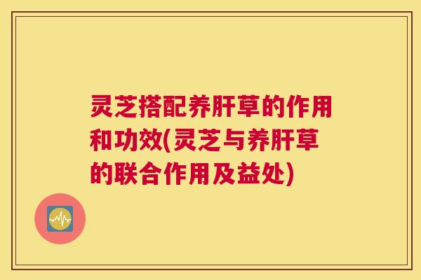 灵芝搭配养肝草的作用和功效(灵芝与养肝草的联合作用及益处)