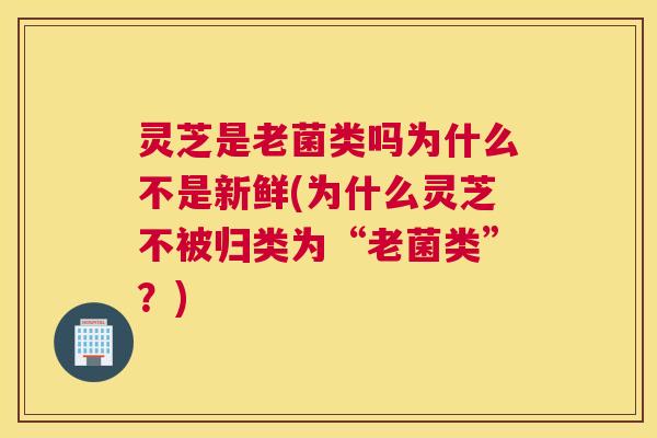 灵芝是老菌类吗为什么不是新鲜(为什么灵芝不被归类为“老菌类”?) 灵芝是老菌类吗为什么不是新鲜(为什么灵芝不被归类为“老菌类”?)