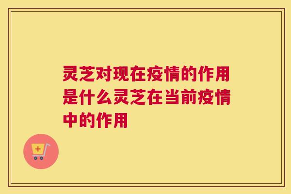 灵芝对现在疫情的作用是什么灵芝在当前疫情中的作用