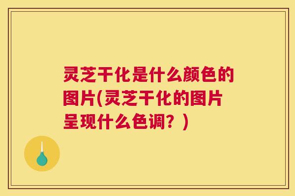 灵芝干化是什么颜色的图片(灵芝干化的图片呈现什么色调？)