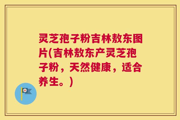 灵芝孢子粉吉林敖东图片(吉林敖东产灵芝孢子粉，天然健康，适合养生。)