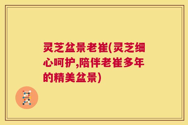 灵芝盆景老崔(灵芝细心呵护,陪伴老崔多年的精美盆景) 灵芝盆景老崔(灵芝细心呵护,陪伴老崔多年的精美盆景)