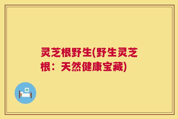 灵芝根野生(野生灵芝根：天然健康宝藏)