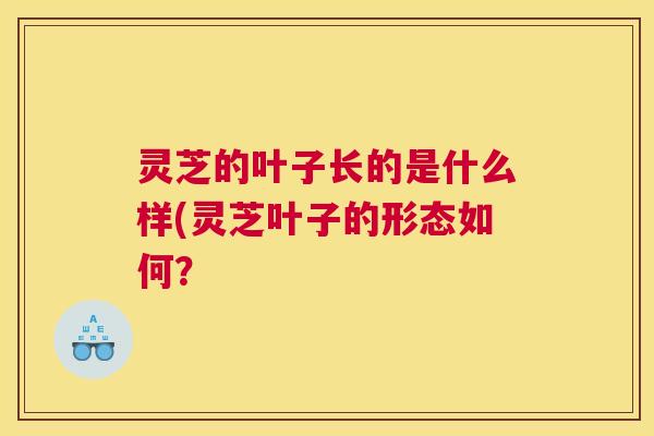 灵芝的叶子长的是什么样(灵芝叶子的形态如何？
