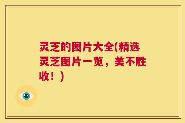灵芝的图片大全(精选灵芝图片一览，美不胜收！)