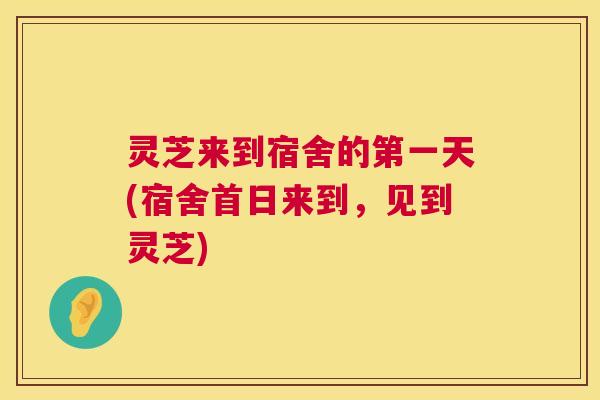 灵芝来到宿舍的第一天(宿舍首日来到，见到灵芝)