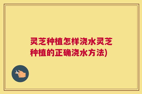 灵芝种植怎样浇水灵芝种植的正确浇水方法)