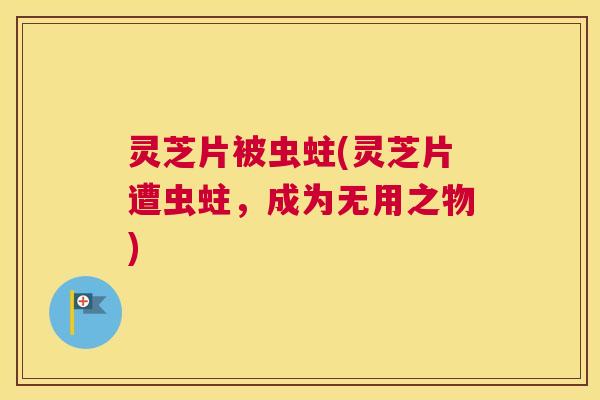 灵芝片被虫蛀(灵芝片遭虫蛀，成为无用之物)