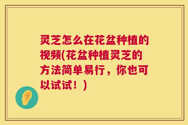 灵芝怎么在花盆种植的视频(花盆种植灵芝的方法简单易行，你也可以试试！)