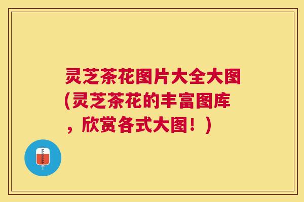 灵芝茶花图片大全大图(灵芝茶花的丰富图库，欣赏各式大图！)