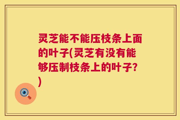 灵芝能不能压枝条上面的叶子(灵芝有没有能够压制枝条上的叶子？)