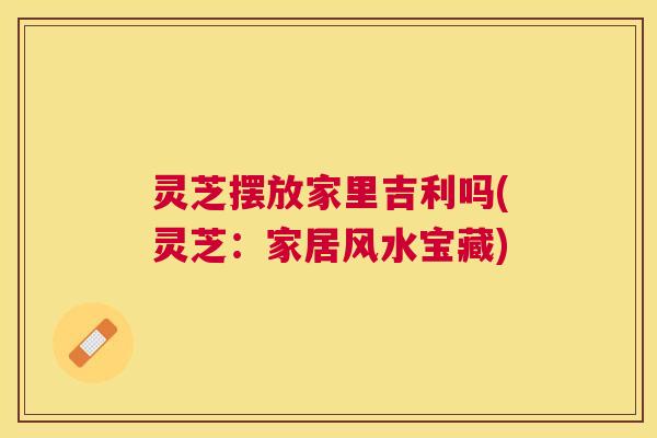 灵芝摆放家里吉利吗(灵芝：家居风水宝藏)