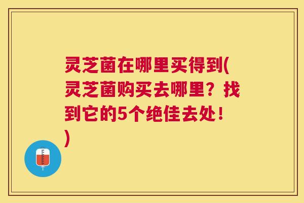 灵芝菌在哪里买得到(灵芝菌购买去哪里？找到它的5个绝佳去处！)