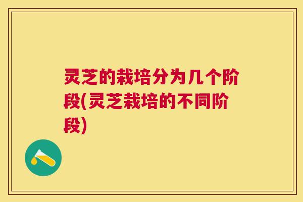 灵芝的栽培分为几个阶段(灵芝栽培的不同阶段)