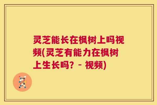 灵芝能长在枫树上吗视频(灵芝有能力在枫树上生长吗？- 视频)